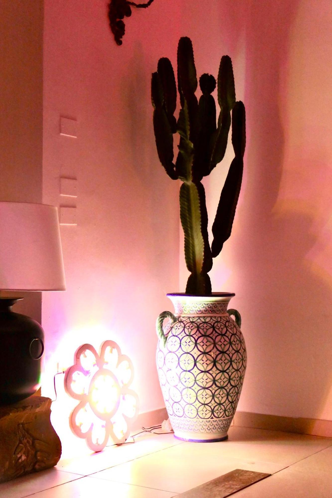 Palazzo Cavour Bed and Breakfast Lecce Buitenkant foto